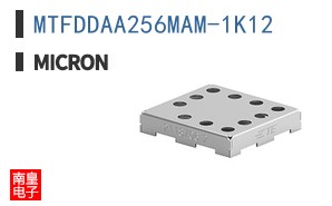 MTFDDAA256MAM-1K12